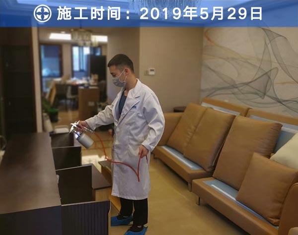樹派除甲醛客戶案例